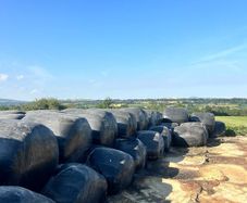 Maize - Beet Bales