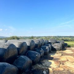 Maize - Beet Bales