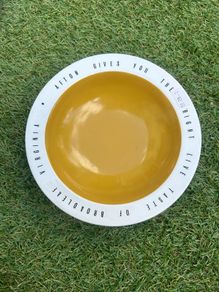 Afton Arklow ashtray