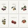 Gallery Style Art Prints (21cm x 30cm) Image 8