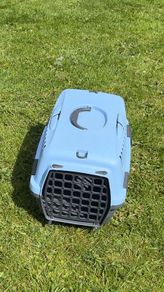 pet transport