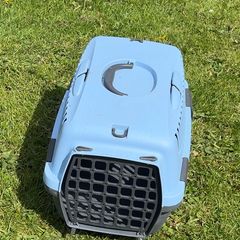 pet transport