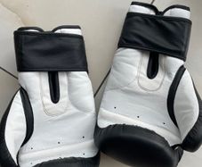 Pro Power 16oz Boxing Gloves - 14 OZ
