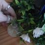 candle and wreath centrepiece Image 4