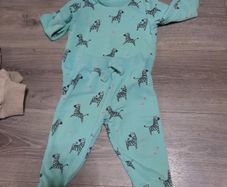 turquoise giraffe tracksuit
