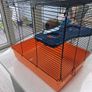 Hamster Cage Image 4