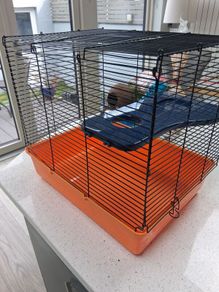 Hamster Cage