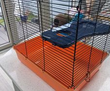 Hamster Cage