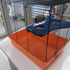 Hamster Cage