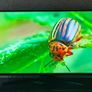 LG 50 4K Smart TV Model: 50UM7450PLA  Excellent Condition! Image 5