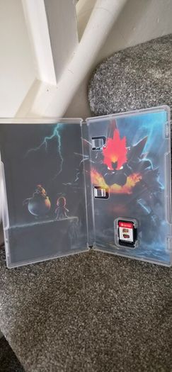 Mario 3D World and Bowsers Fury