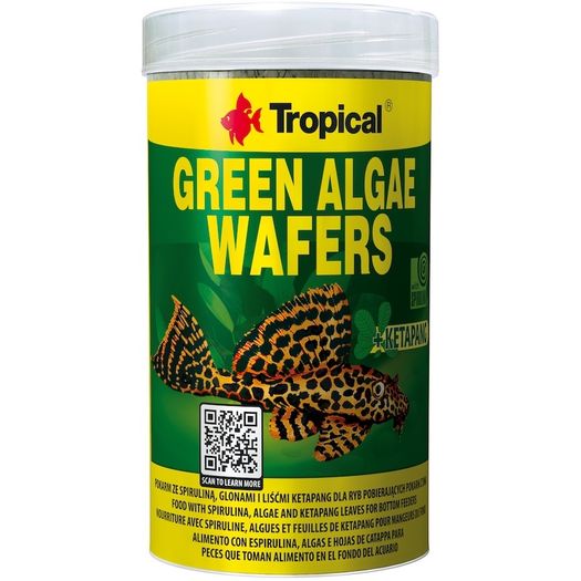 Tropical Green Algae Wafers + Ketapang 250ML/113G