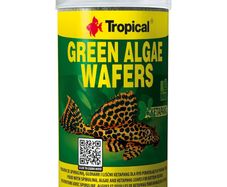 Tropical Green Algae Wafers + Ketapang 250ML/113G