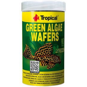 Tropical Green Algae Wafers + Ketapang 250ML/113G