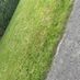 iama