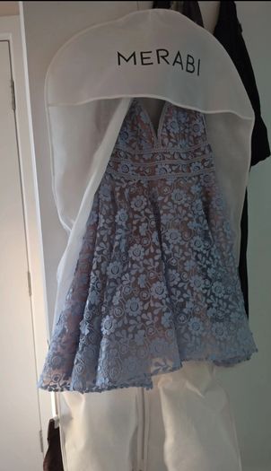 Nadine Merabi Daisy Dress