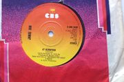 Vinyl record, 7in single, Janis Ian, - At Seventeen