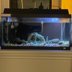 aquarium tank