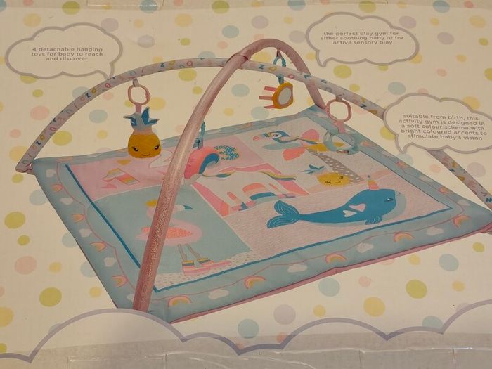 Baby play gym
