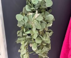 Hanging House Plant (plastic)