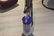 Dyson Small Ball Animal 2