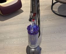 Dyson Small Ball Animal 2