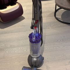 Dyson Small Ball Animal 2