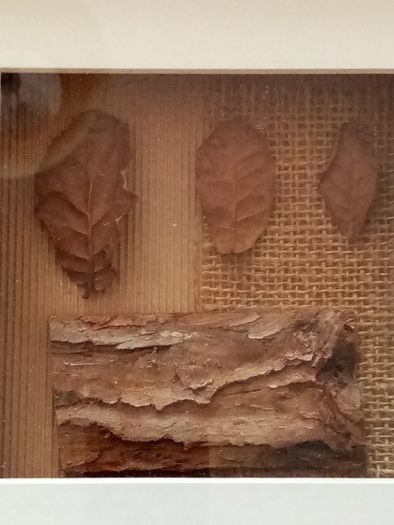 Pair of pictures