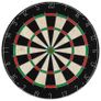 Professional Dart Set with Dartboard and Surround Sisal Steel Image 4