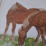 Oilpainting. Image 5