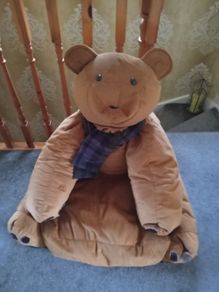 Teddy Bear Bean Bag. - Quick Sale