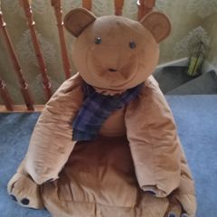 Teddy Bear Bean Bag. - Quick Sale