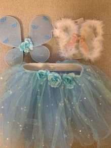 Monsoon girls wings and tutu