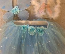 Monsoon girls wings and tutu