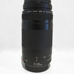 Canon EF 75-300mm f/4-5.6 II