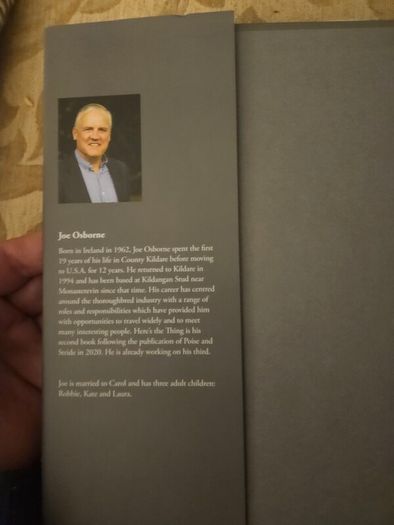 Here's The Thing. By Joe Osborhe. Illustrated By Declan Considine. Stories Of Challenge,recovery, And Redemption. First Edition Hardback With Dustjacket In Good Condition. See Photos For Same.