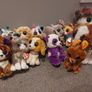 beanie boo  collection (37 many new with tags) Image 2