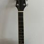 Custom Guitars Model DGIK/BK Image 3