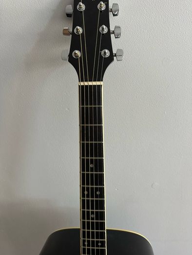 Custom Guitars Model DGIK/BK