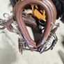horse harness Image 2