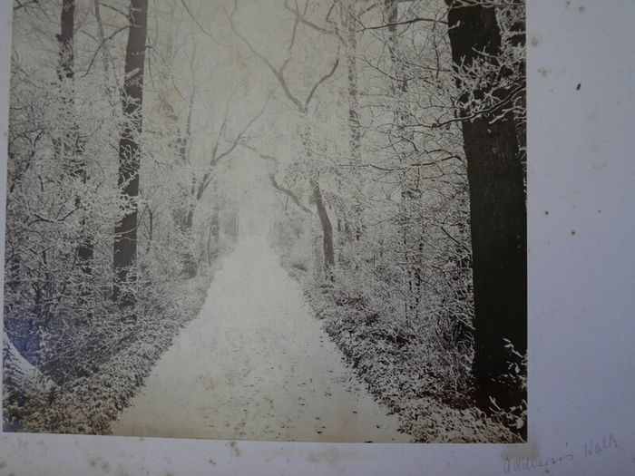 Victorian Photograph Album Photo Card Album  Antique Cabinet Card Photographs Photos 21 Page 42 Photos