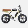 Engwe M1 Dual Passenger Electric Bike - Single Battery Yellow Image 2