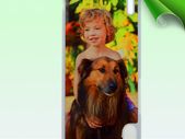 personalised huawei ascend p7 cases covers