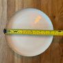 Dinner plates x8 Image 9