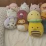 squishmallow Image 2