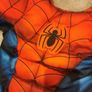 Halloween Costumes 7-8yrs Image 7