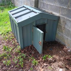 Dog house