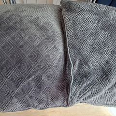 Velvet style cushions 18x18  x2