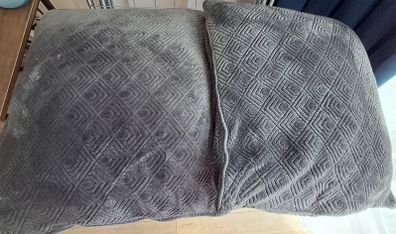 Velvet style cushions 18x18  x2