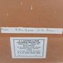Vintage Paris de Notre Dame lithograph Print Image 5